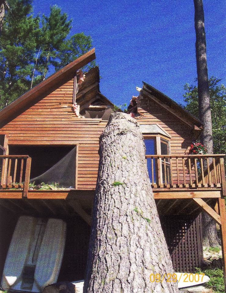 Adirondack Tree Surgeons Inc | 353 Gurn Springs Rd, Gansevoort, NY 12831, USA | Phone: (518) 792-2225