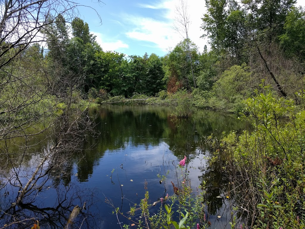 West Hylebos Wetlands Park | 411 S 348th St, Federal Way, WA 98003, USA | Phone: (253) 835-6901