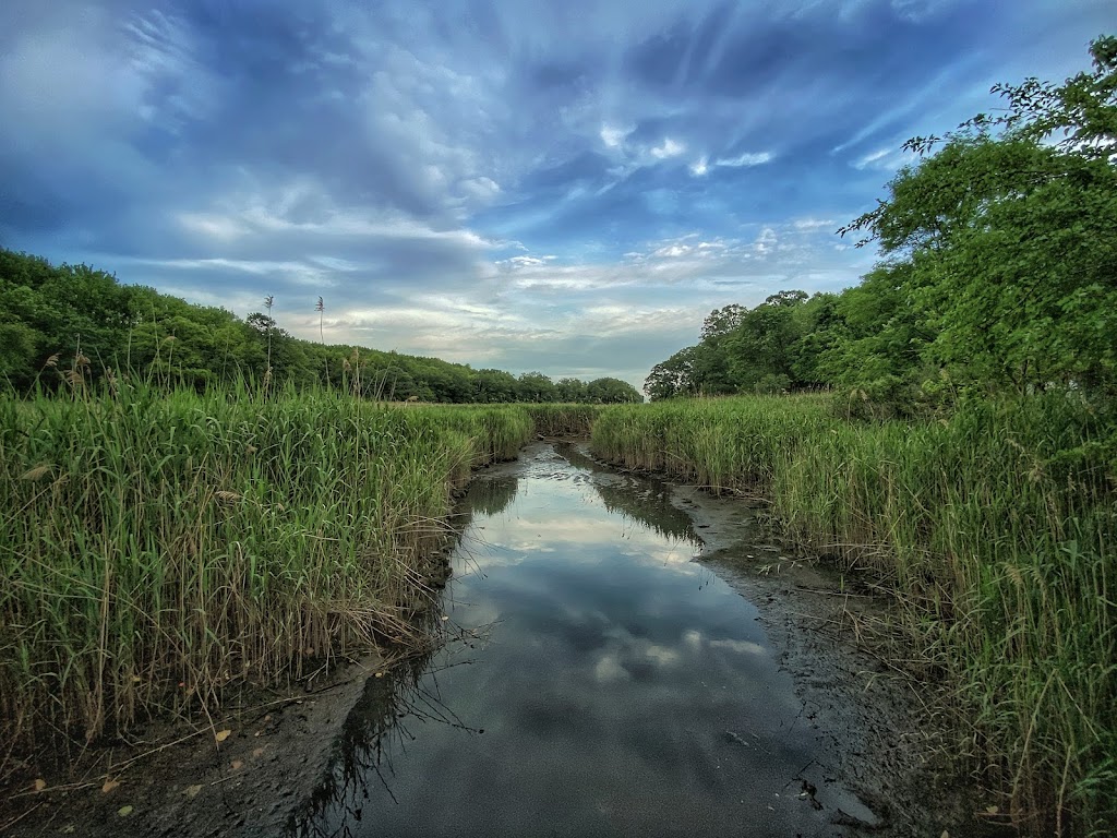 Lemon Creek Tidal Wetlands Area | Direnzo Ct, Staten Island, NY 10309 | Phone: (718) 482-4942