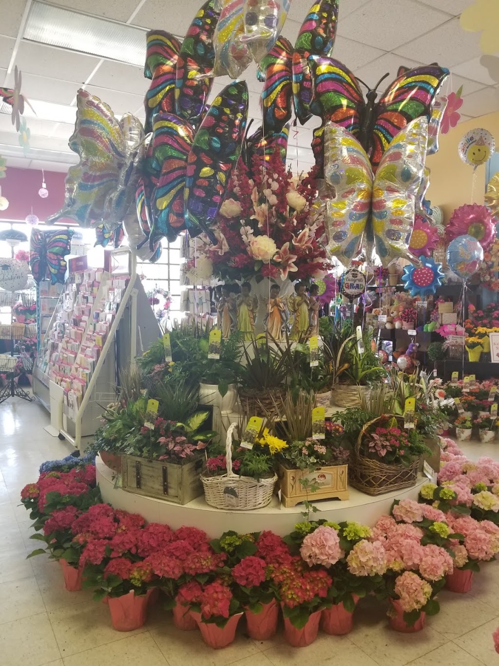 Thrifty Florist | 23841 Grand River Ave, Detroit, MI 48219, USA | Phone: (313) 537-7776