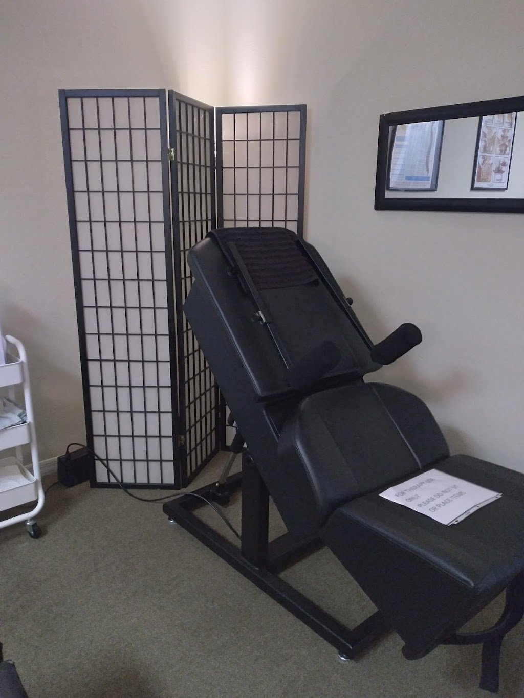 Wilson Chiropractic Therapy | 8903 Regents Park Dr STE 140, Tampa, FL 33647, USA | Phone: (813) 847-3403