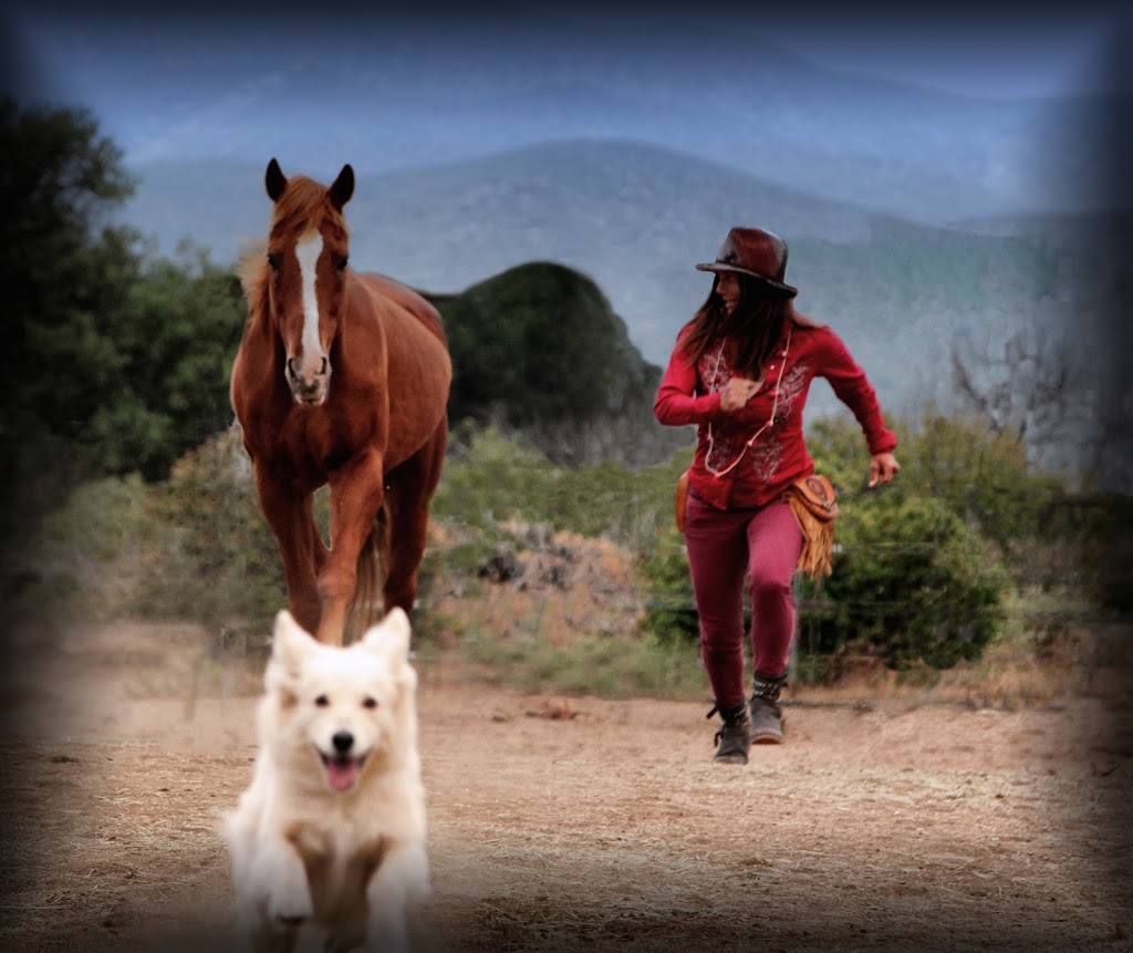 Silver Horse Retreat | 28091 Old Mine Rd, Ranchita, CA 92066, USA | Phone: (760) 445-3580