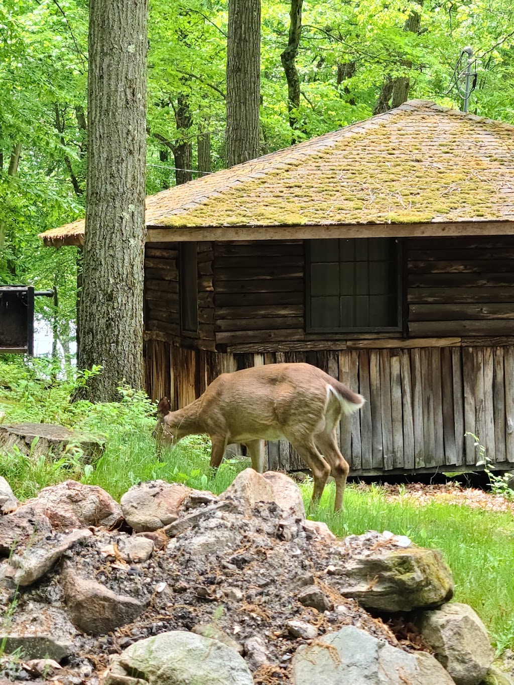 Sebago Cabin Camp | 440 Seven Lakes Dr, Sloatsburg, NY 10974, USA | Phone: (845) 429-2039