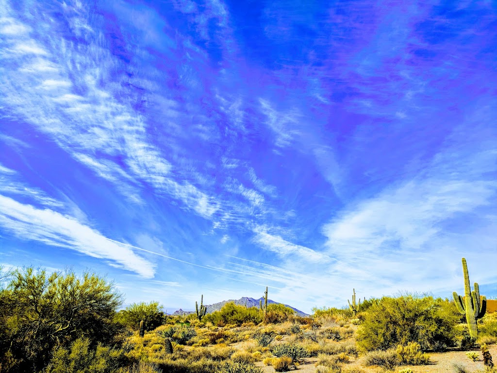 Russ Lyon Sothebys International Realty | 37700 N Desert Mountain Pkwy, Scottsdale, AZ 85262, USA | Phone: (480) 488-2998