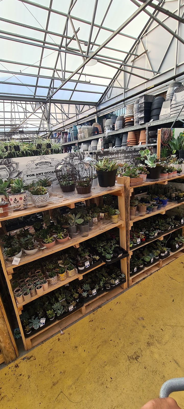 Lowes Garden Center | 1920 NW Maynard Rd, Cary, NC 27513, USA | Phone: (919) 380-3210