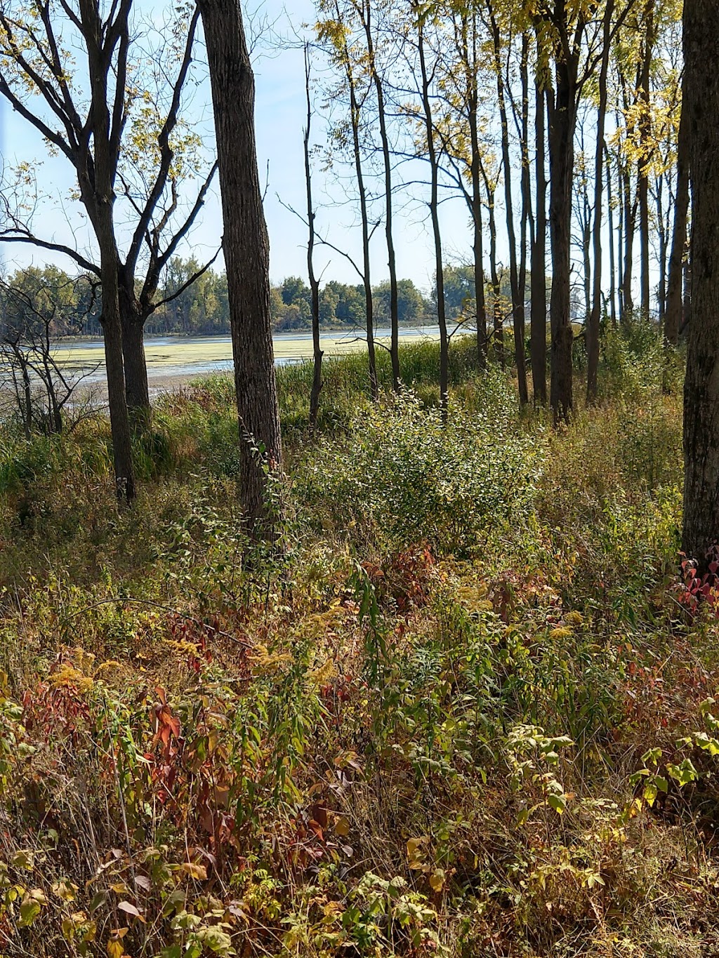 Humbug Marsh Unit National Wildlife Refuge | 28403 Old N Gibraltar Rd, Gibraltar, MI 48173, USA | Phone: (734) 365-0219