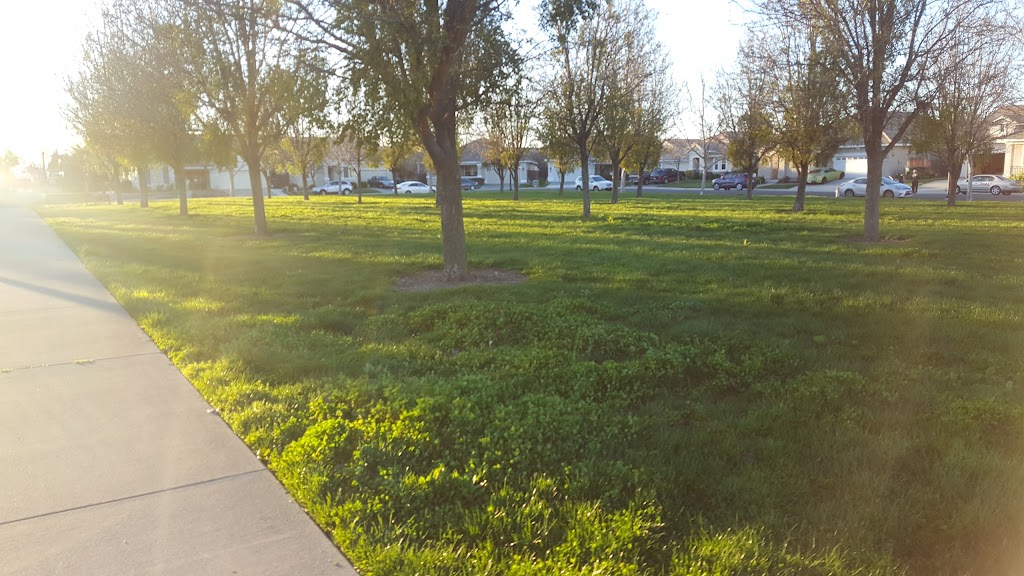 River View Park | 501 Forastera Cir, Sacramento, CA 95834, USA | Phone: (916) 808-5200