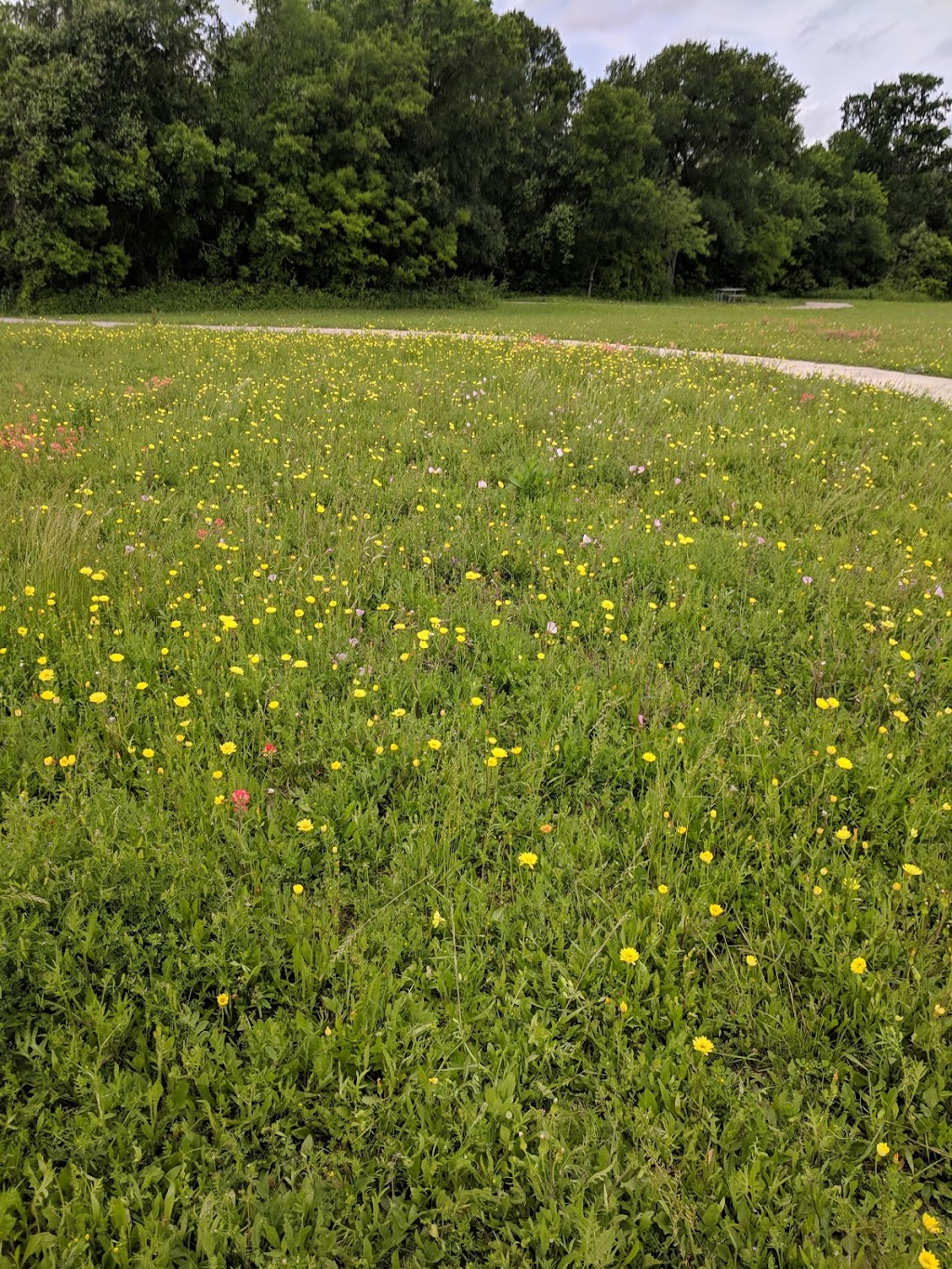 Northeast Metro Park Walk/Bike Trail | unnamed, Pflugerville, TX 78660, USA | Phone: (512) 854-7275