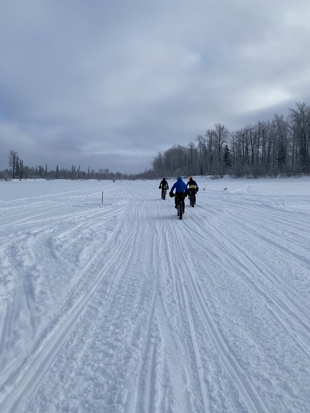 Iditarod Trailside Lodgings | Mile 22 Yentna River, Skwentna, AK 99667, USA | Phone: (907) 733-2505