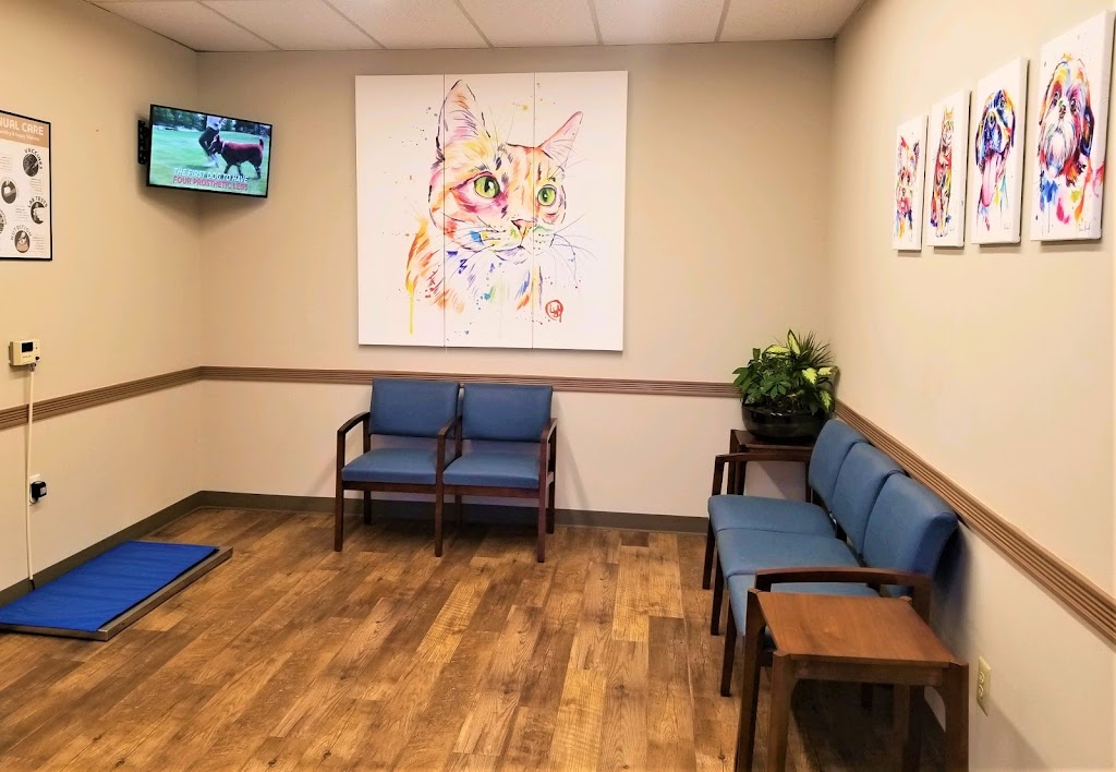 Oak Tree Animal Clinic | 904 Oak Tree Rd Suite D, South Plainfield, NJ 07080, USA | Phone: (732) 548-4411