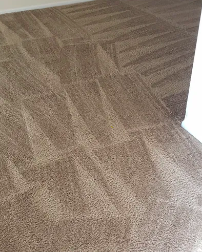 Ultimate Carpet Restoration Inc. | 101 Hidden Lake Dr, Bloomingdale, FL 33511, USA | Phone: (813) 654-5249