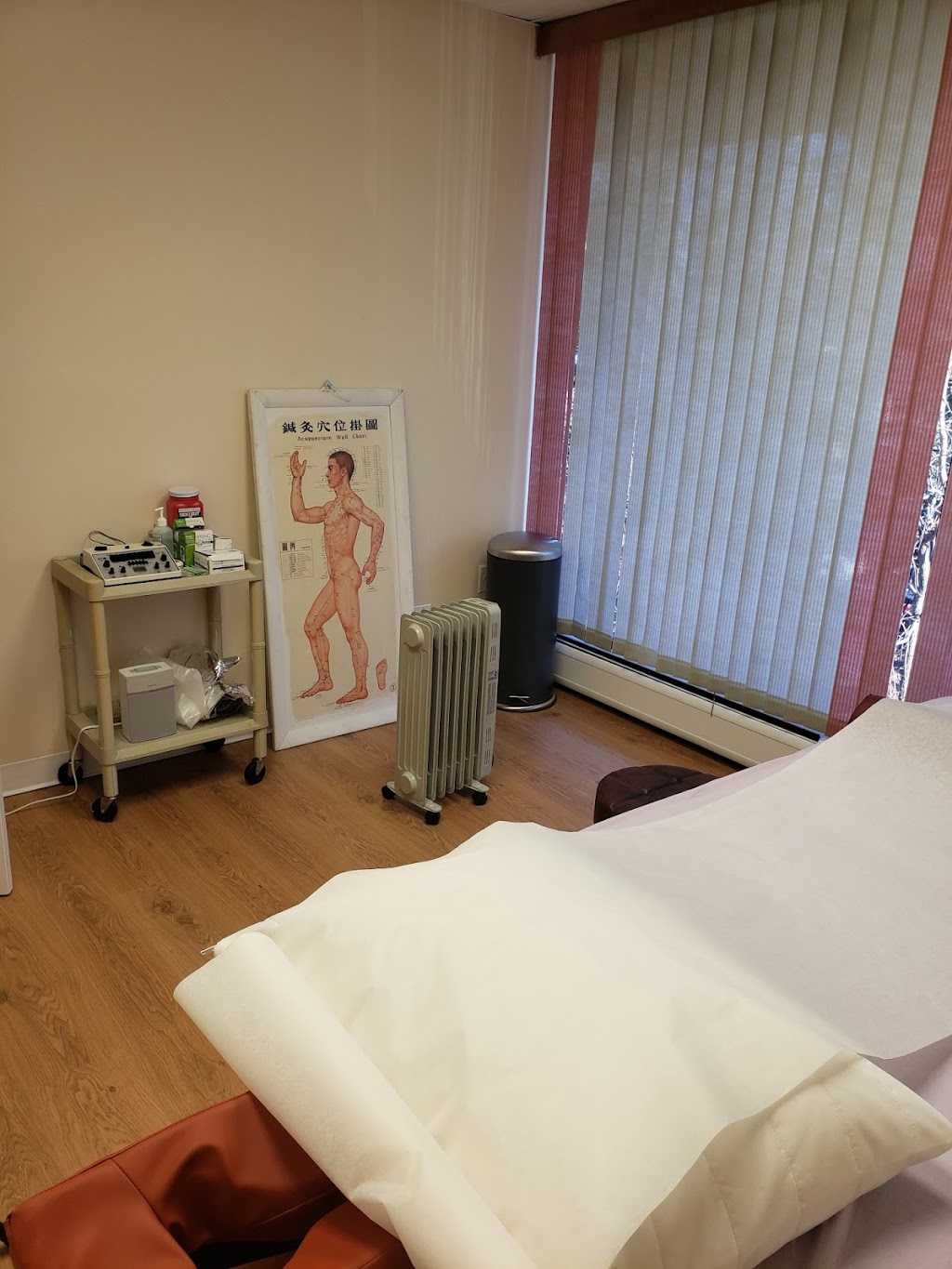 Hudson Jong Acupuncture LLC | 111 Northfield Ave #209, West Orange, NJ 07052, USA | Phone: (201) 595-0404