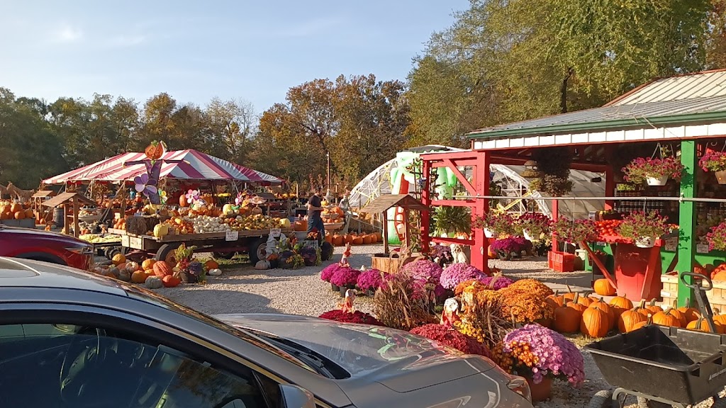 Andys Produce | 4645 Gravois Rd, House Springs, MO 63051, USA | Phone: (636) 671-1201