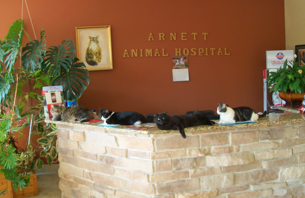Arnett Animal Hospital | 1924 S Wolf Rd, Wheeling, IL 60090, USA | Phone: (847) 520-6600