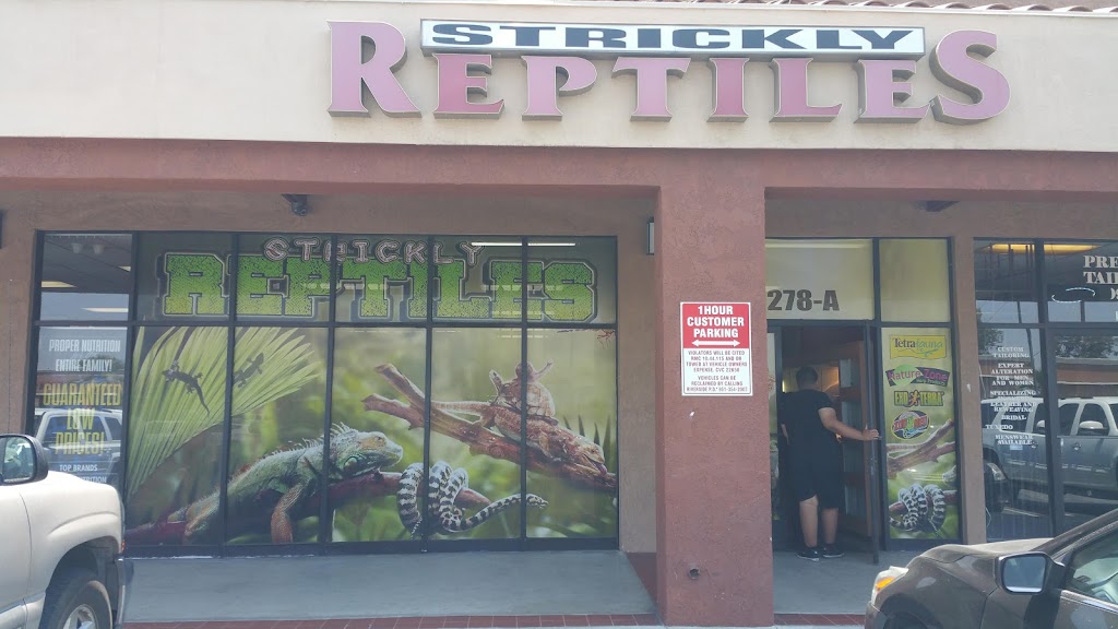 Strickly Reptiles | 10278 Indiana Ave Suite A, Riverside, CA 92503, USA | Phone: (951) 352-2700