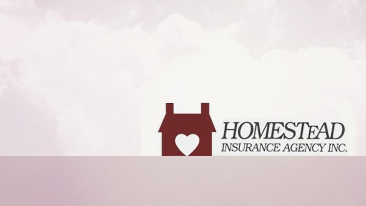 Homestead Insurance Agency Inc. | 1324 Pearl Rd, Brunswick, OH 44212 | Phone: (330) 225-3100