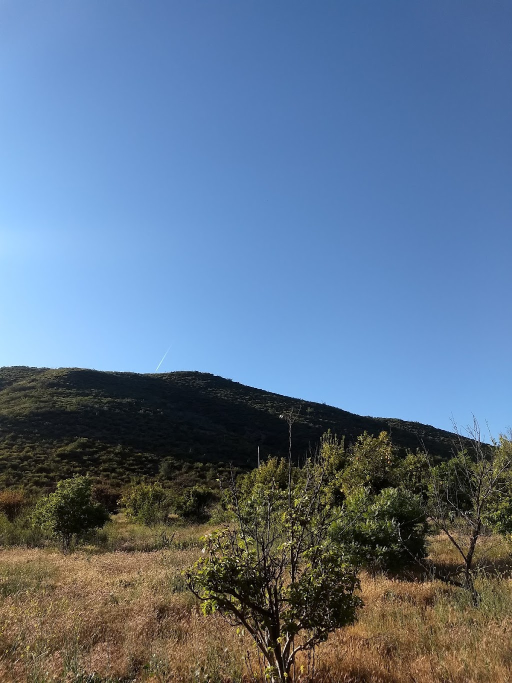 Rancho Casa Baloyan | 22756 Ensenada, B.C., Mexico | Phone: 664 648 2796