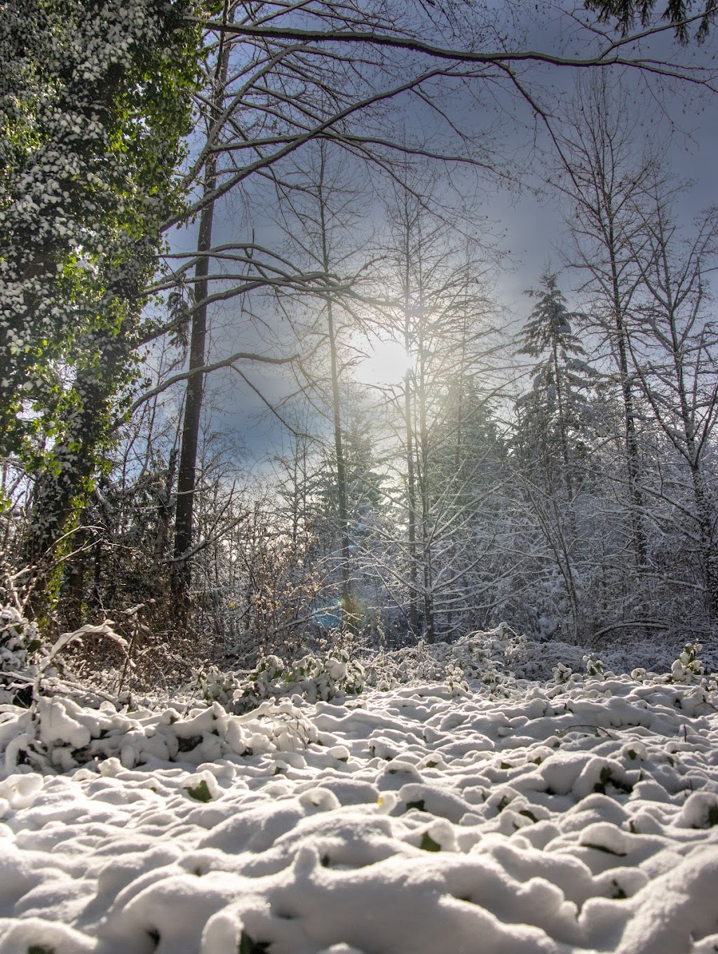 Lake Killarney Open Space Park | 34902 Weyerhaeuser Way S, Federal Way, WA 98003, USA | Phone: (253) 835-6901