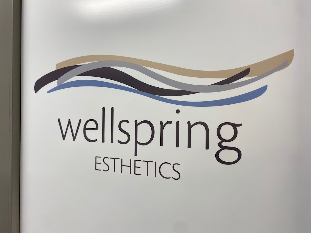 Wellspring Esthetics | 57 Northeastern Blvd UNIT 201, Nashua, NH 03062 | Phone: (603) 521-8411