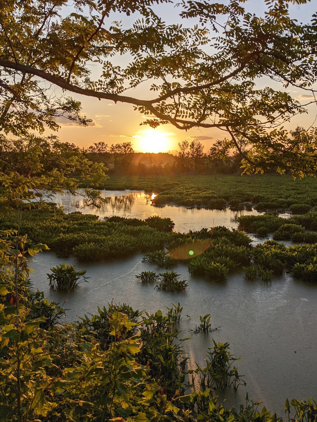 Dutch Gap Conservation Area | 341 Henricus Park Rd, Chester, VA 23836, USA | Phone: (804) 748-1623