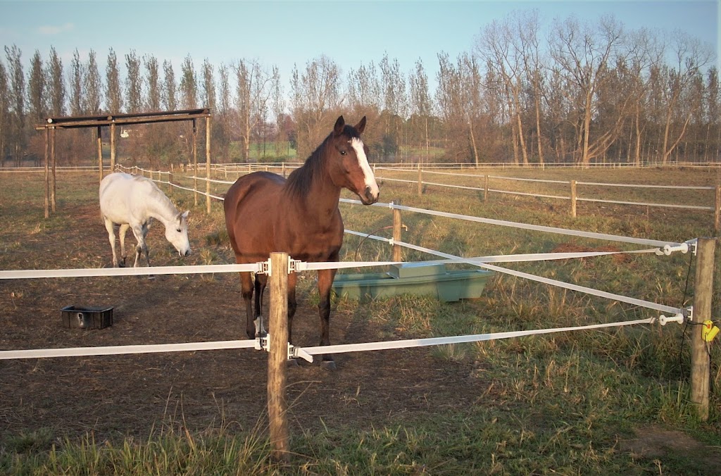 JVA Monitored Fencing USA | 4838 FM2001, Lockhart, TX 78644, USA | Phone: (512) 413-8661