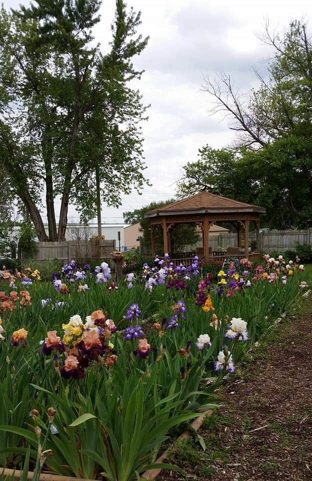 Jonis Dance-In-The-Wind Iris Garden | 810 S 14th St, Tekamah, NE 68061, USA | Phone: (402) 374-2621