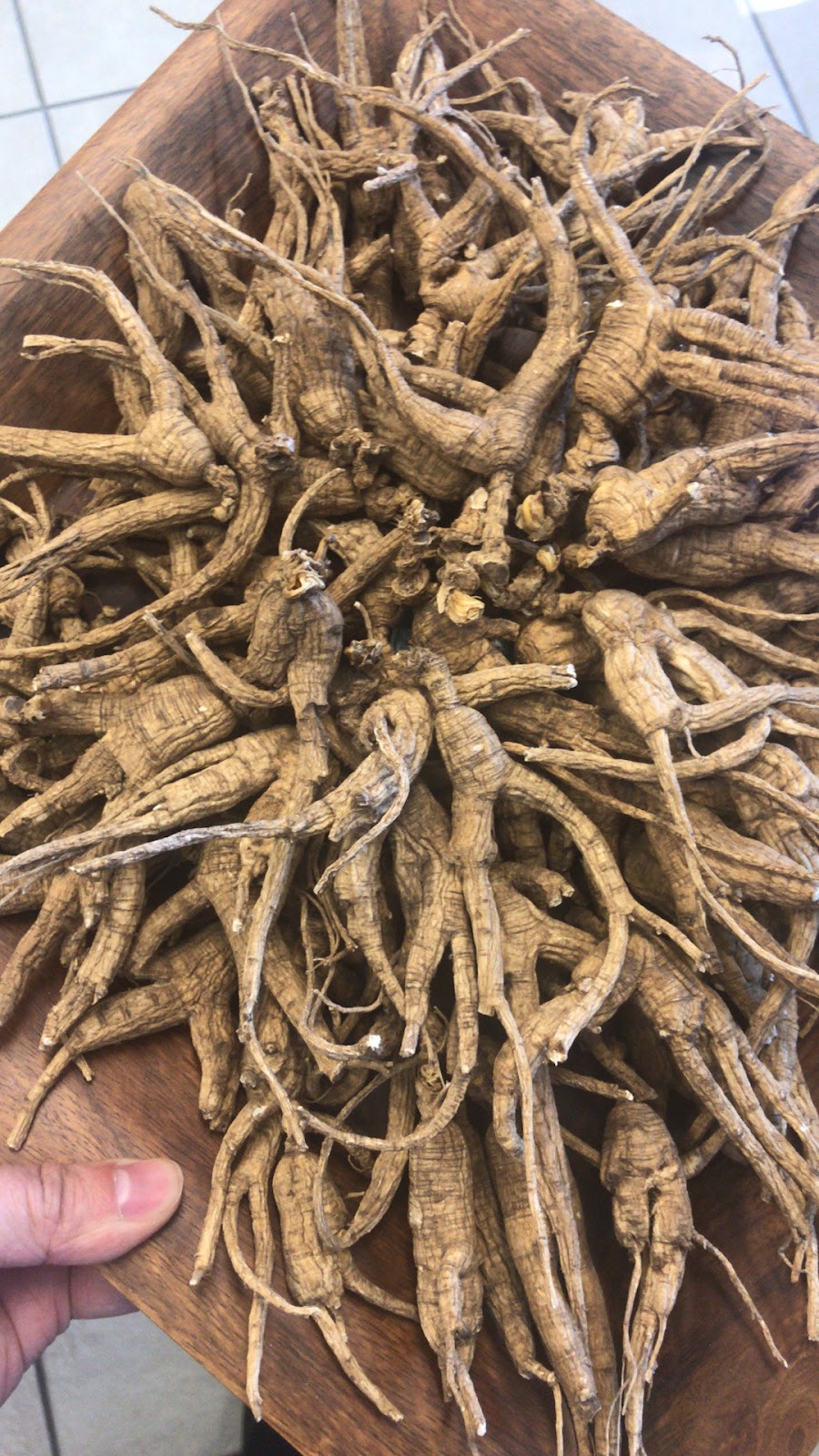 AA Ginseng Wholesale(花旗参批发总汇) | 1655 S Azusa Ave #B, Hacienda Heights, CA 91745, USA | Phone: (626) 581-0593 AA Ginseng Wholesale(花旗参批发总汇) | 1655 S Azusa Ave #B, Hacienda Heights, CA 91745, USA | Phone: (626) 581-0593