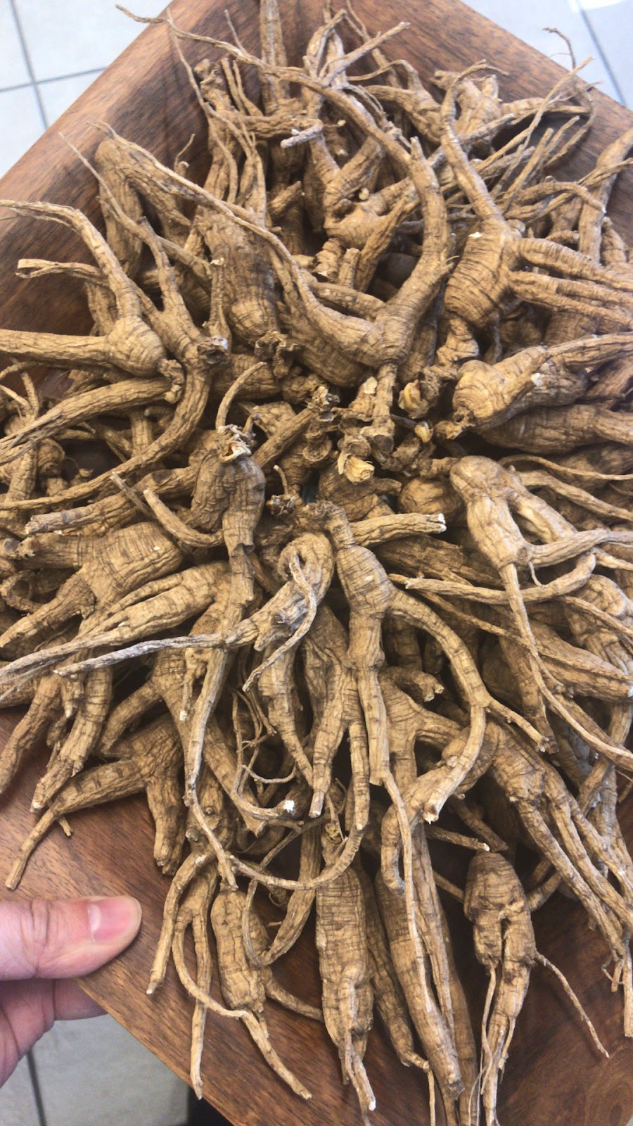 AA Ginseng Wholesale(花旗参批发总汇） | 1655 S Azusa Ave #B, Hacienda Heights, CA 91745, USA | Phone: (626) 581-0593