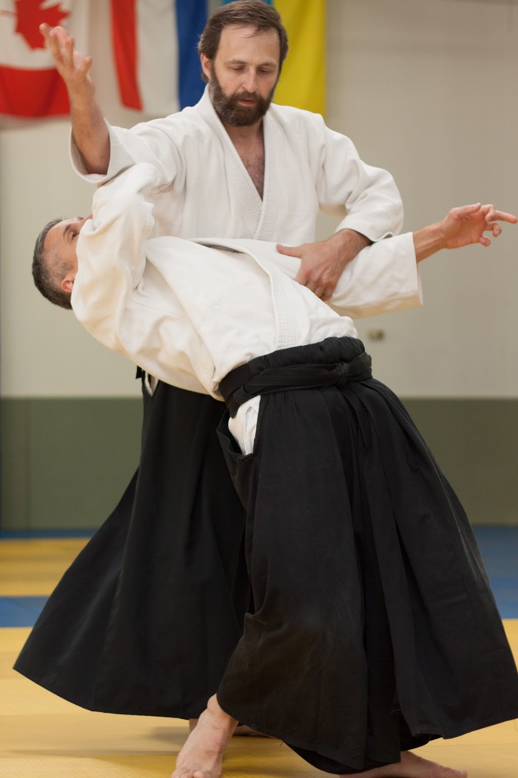 Great Lakes Aikido | 150 N Fairway Dr Ste 156, Vernon Hills, IL 60061, USA | Phone: (224) 764-1264