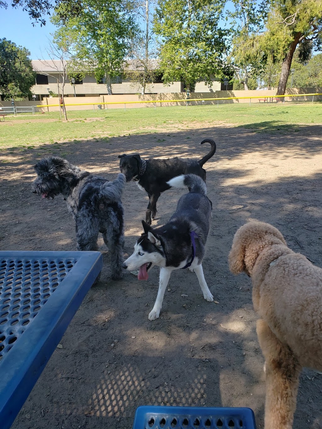 Baldy View Dog Park | W 11th St, Upland, CA 91786, USA | Phone: (909) 931-4280