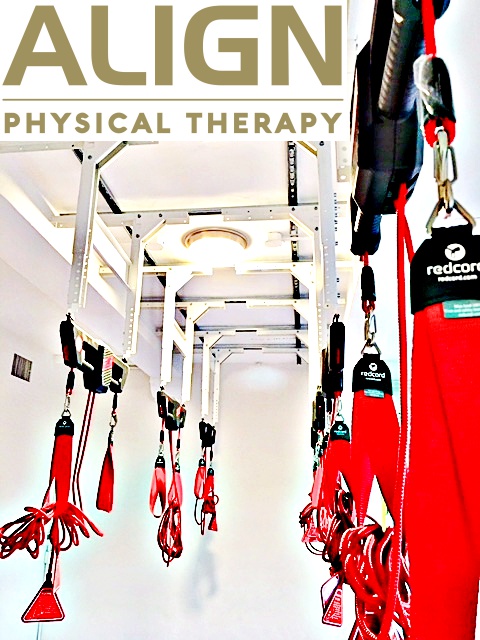 Align Physical Therapy & Chiropractic | 562 N Larchmont Blvd, Los Angeles, CA 90004, USA | Phone: (323) 745-5427