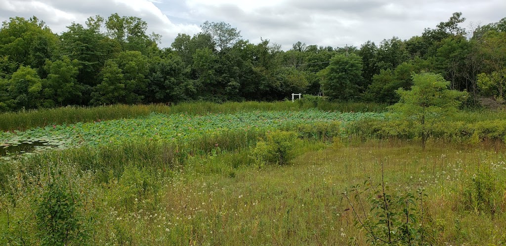 Wetlands Park | 6950 Lesourdsville West Chester Rd, Liberty Township, OH 45011, USA | Phone: (513) 759-7500