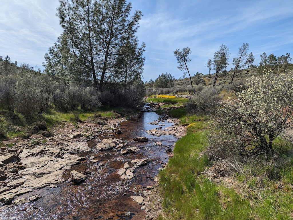 Red Hills Recreation Management Area | Red Hill Rd, Jamestown, CA 95327, USA | Phone: (916) 941-3101