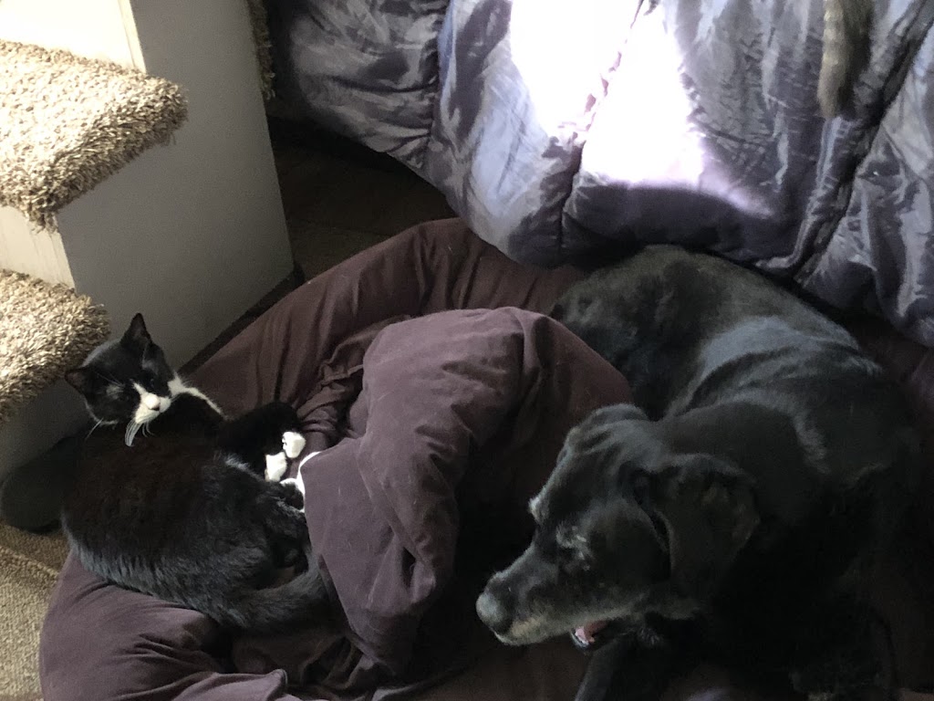 Pet Supplies Plus Lawrence 10625 Pendleton Pike, Indianapolis, IN