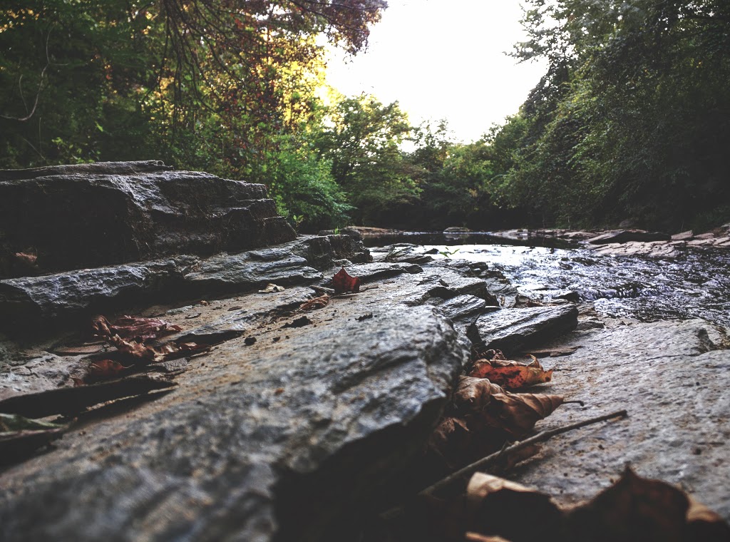 Chastain Park Conservancy | 4001 Powers Ferry Rd NW, Atlanta, GA 30342, USA | Phone: (404) 237-2177