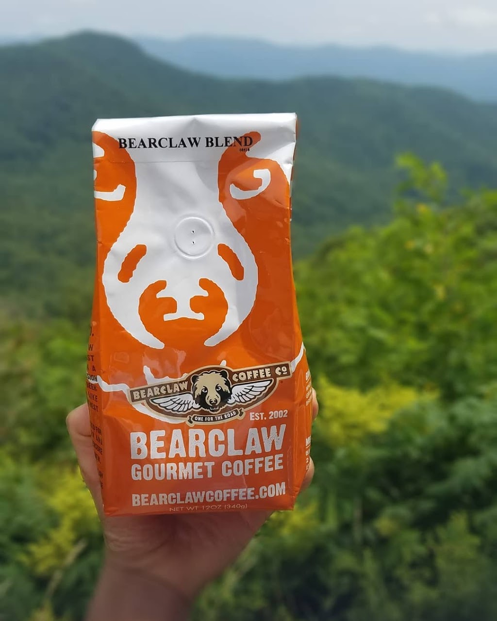 Bearclaw Coffee Co | 24146 Sibley Rd, Romulus, MI 48174, USA | Phone: (734) 955-9001