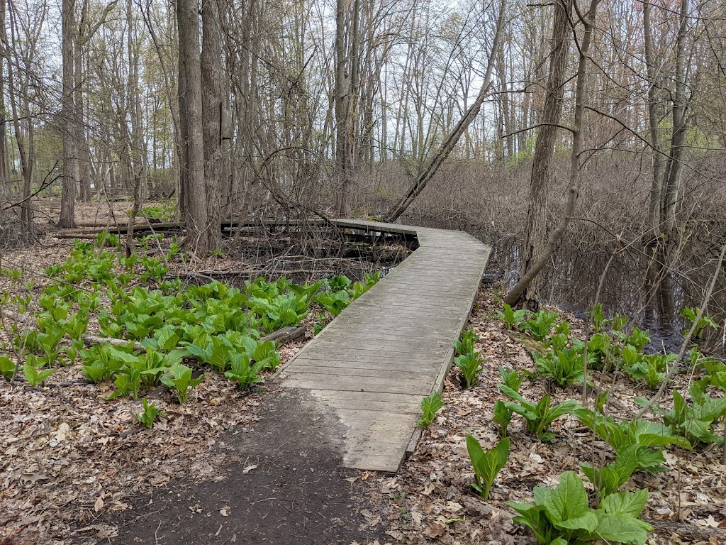 Orchard Lake Nature Sanctuary | 4700 Pontiac Trail, West Bloomfield Township, MI 48324, USA | Phone: (248) 682-2400