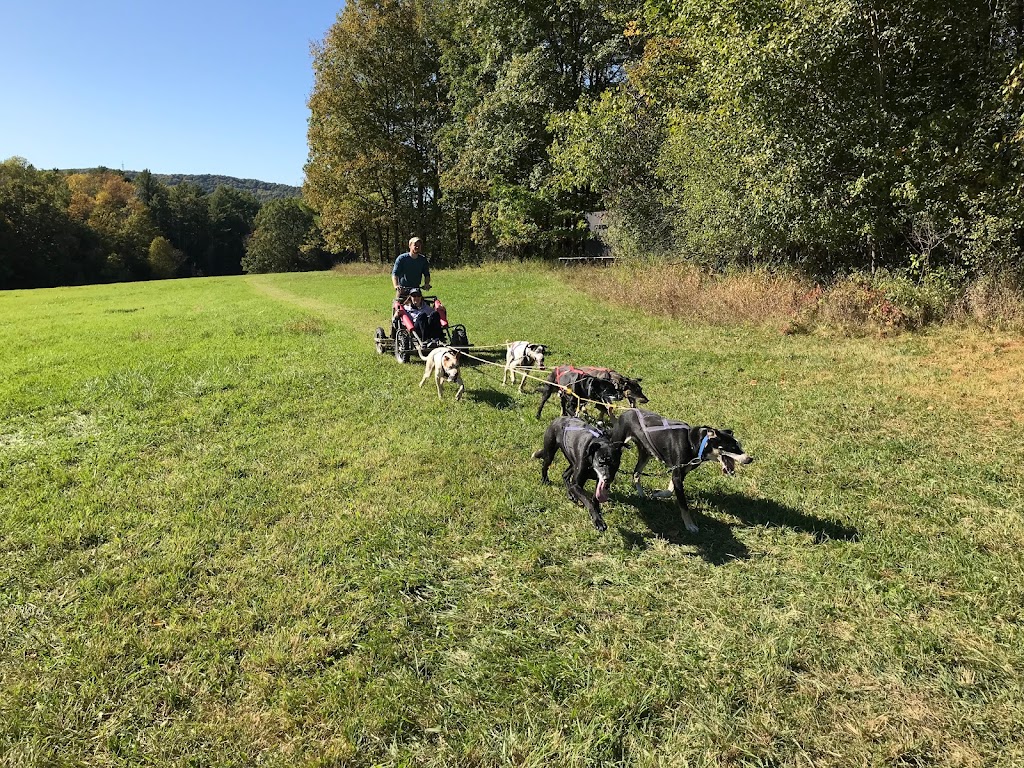 Cobble Hill Kennel | Pvt, Sheldon Ln, Middlebury, VT 05753 | Phone: (215) 292-8226