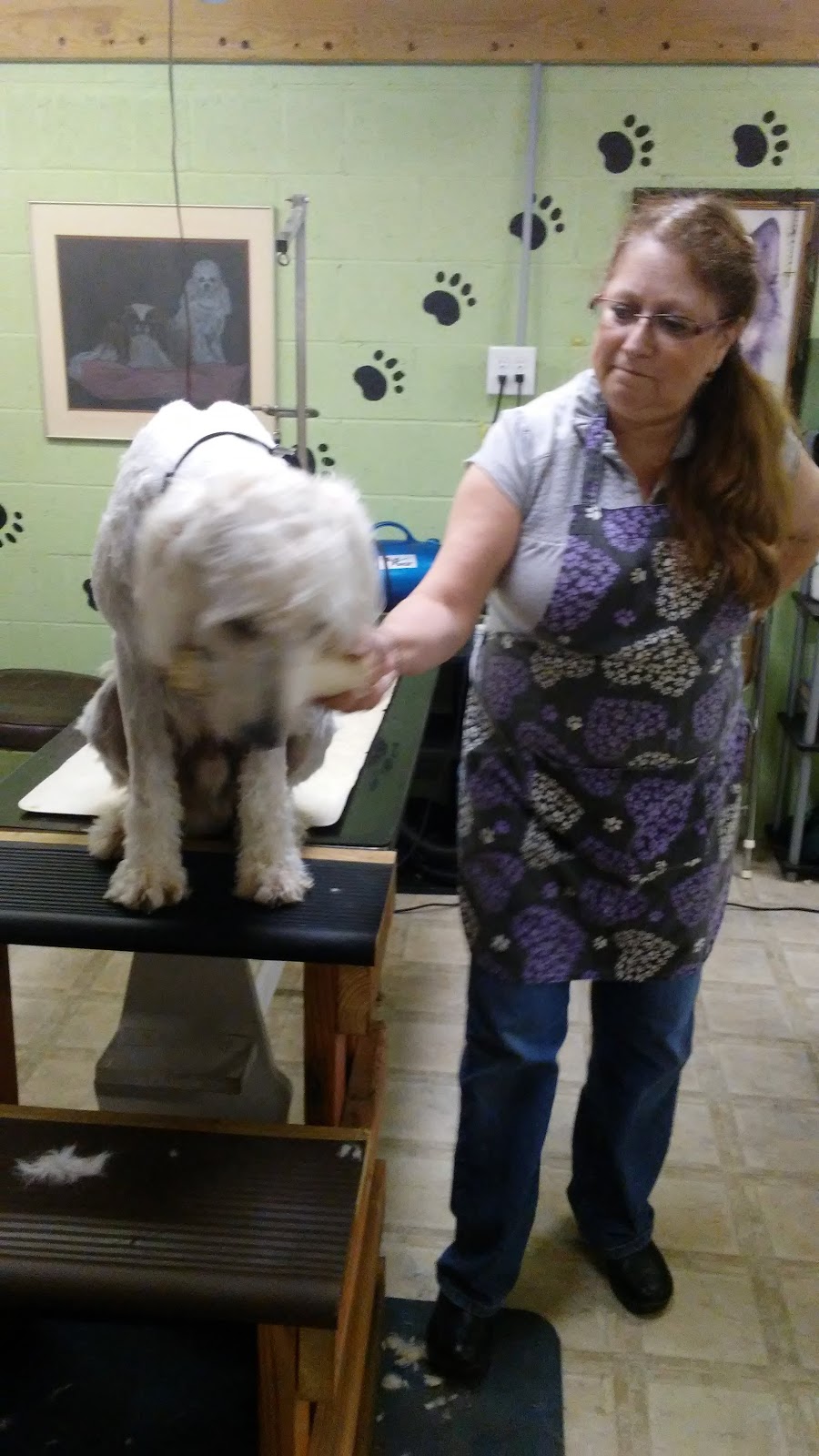 Nails To Tails Dog Grooming Spa | 240 Gliden Rd, Hobbsville, NC 27946, USA | Phone: (252) 221-8312