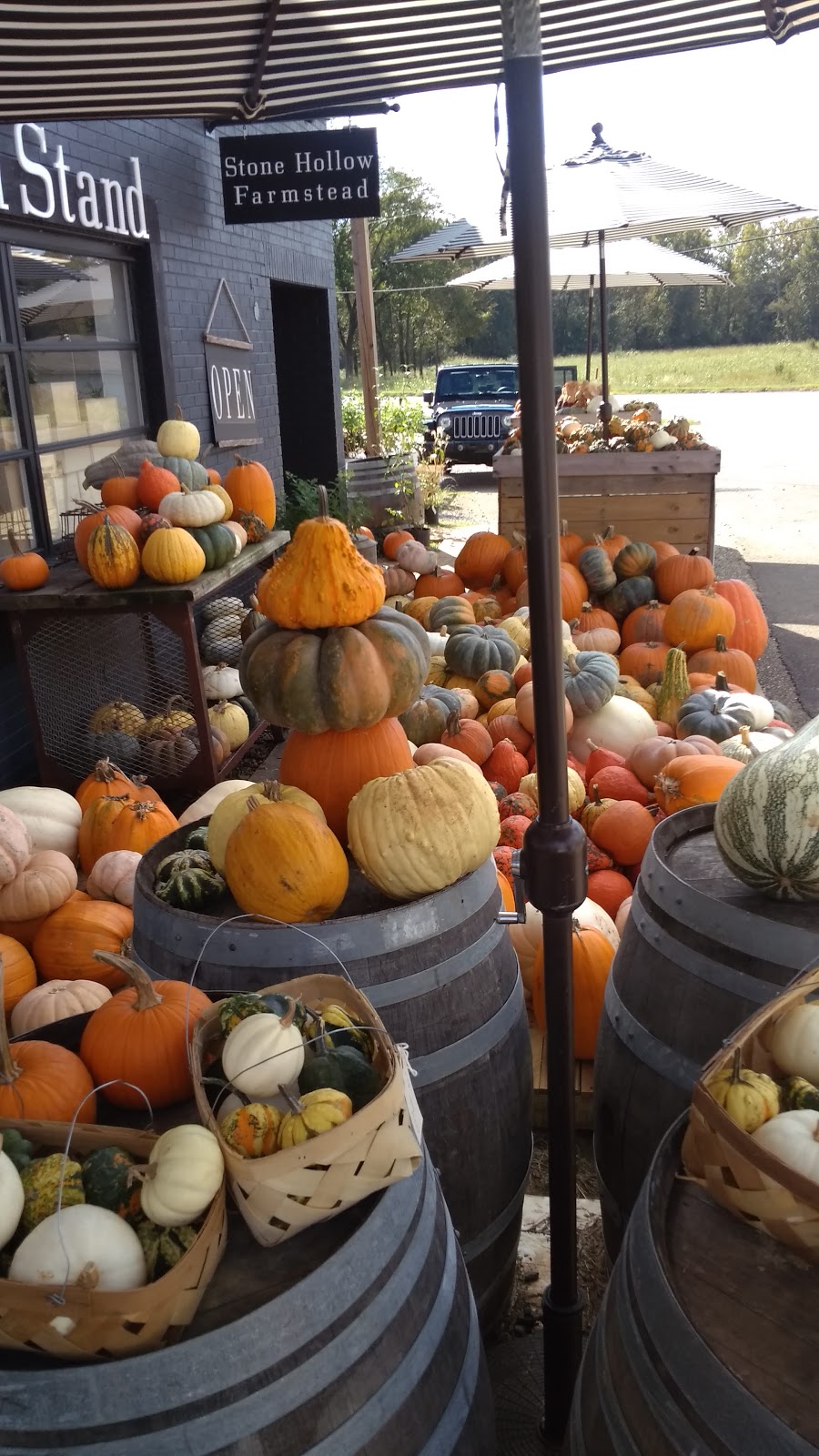 FarmStand Harpersville | 5327 US-280, Harpersville, AL 35078 | Phone: (205) 677-2585