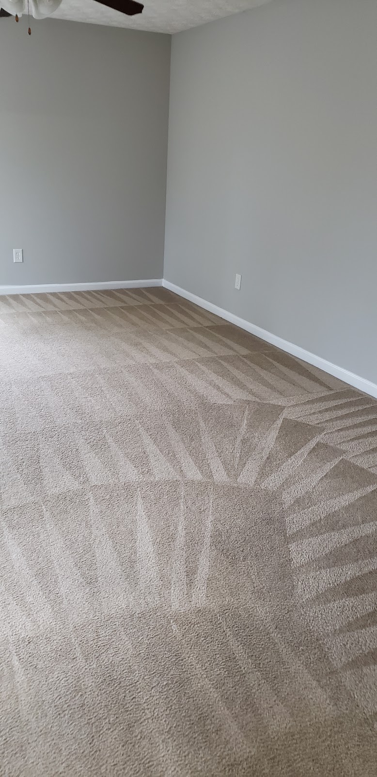 Busy Bee Carpet Cleaning Hiram | 278 Valerie Cir, Hiram, GA 30141, USA | Phone: (404) 625-5019