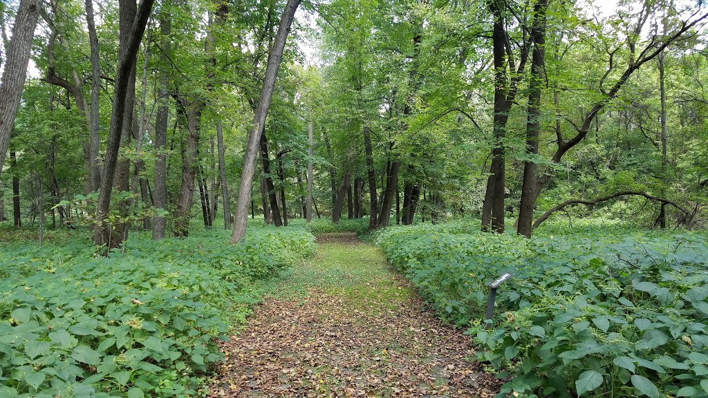 Wargo Nature Center | 7701 Main St, Lino Lakes, MN 55038, USA | Phone: (763) 324-3350