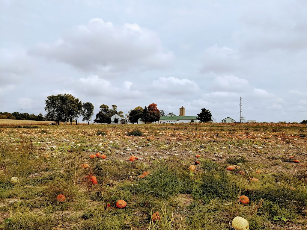 Hermanson Pumpkin Patch | 127 County Hwy N, Edgerton, WI 53534 | Phone: (608) 751-9334