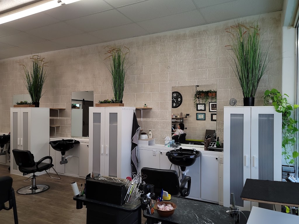 Young Park Hair Salon | 320 Shopping Center Dr, Wildwood, FL 34785, USA | Phone: (352) 201-9032