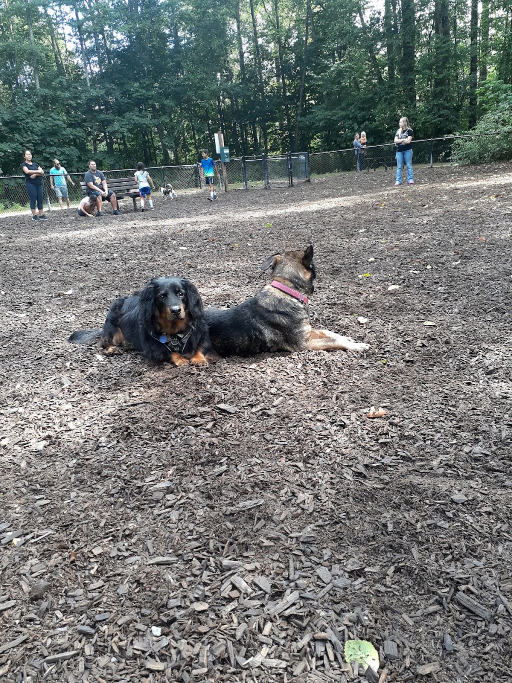 Clarks Creek Dog Park | 926 18th St SW, Puyallup, WA 98371, USA | Phone: (253) 841-5457