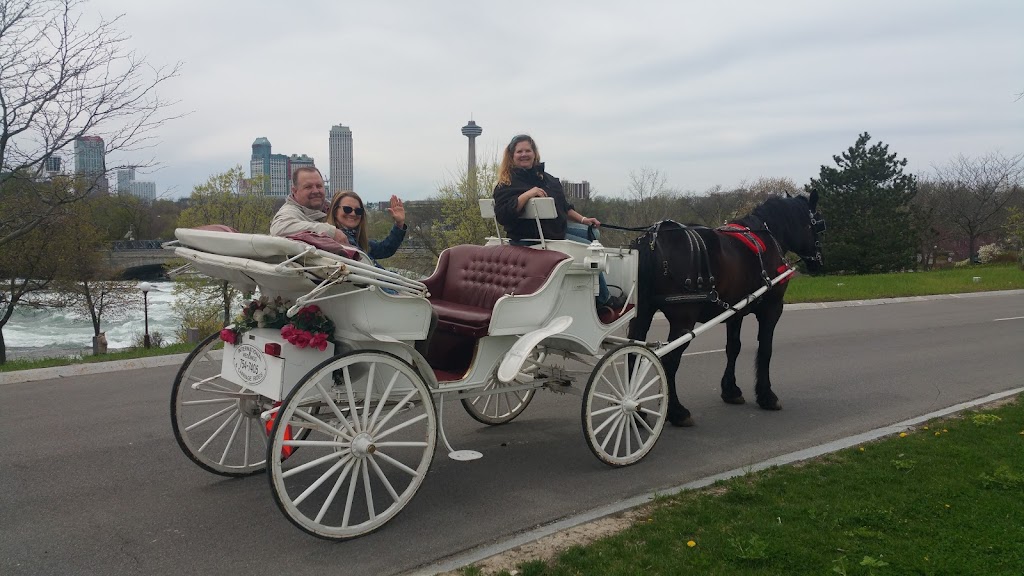 International Weddings & Carriage Rides | 1767 Ridge Rd, Lewiston, NY 14092, USA | Phone: (716) 754-7405