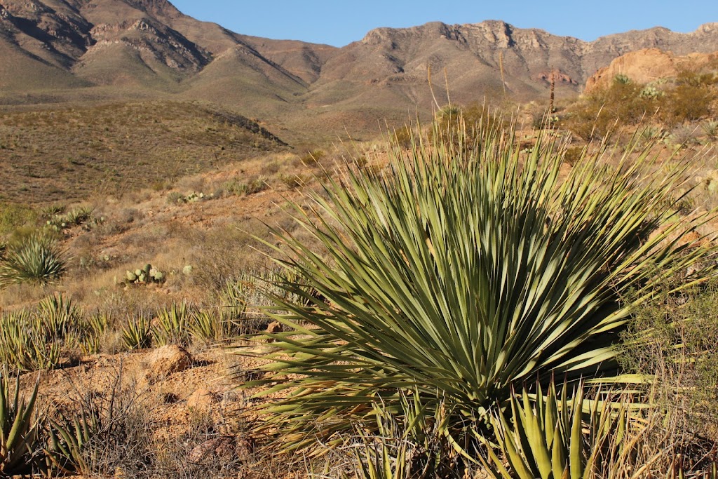 Chuck Heinrich Memorial Park | Officer Andrew Barcena Dr, El Paso, TX 79934, USA | Phone: (915) 319-5997