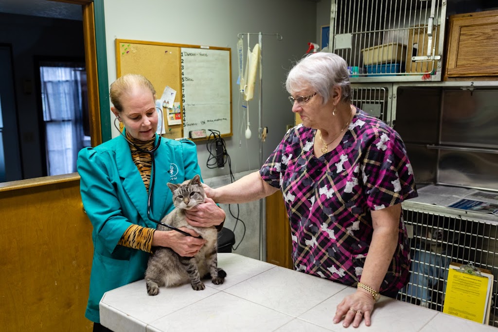 The Village Vet | 16 S 3rd St, Waterville, OH 43566, USA | Phone: (419) 878-4900