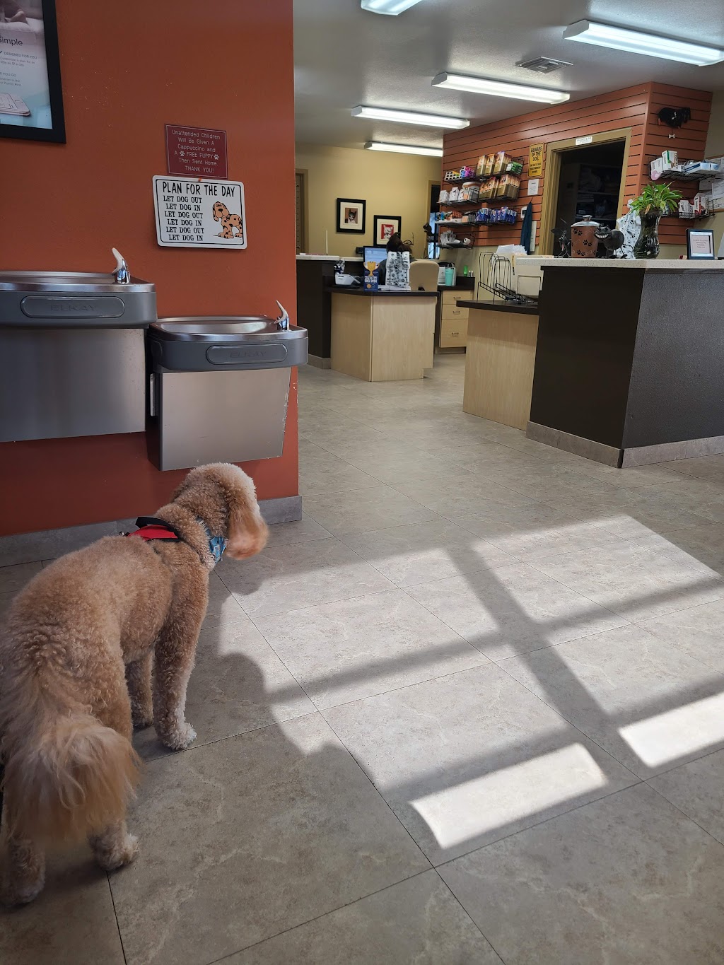 South Lake Animal Hospital | 1067 State Rte 50, Clermont, FL 34711, USA | Phone: (352) 394-2202