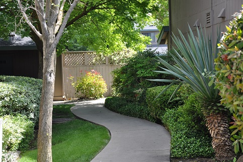 Temescal Apartments | 2477 Sycamore Ln, Davis, CA 95616, USA | Phone: (530) 757-2828